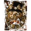 Chat steampunk