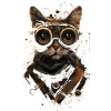 Chat steampunk