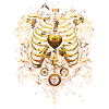 Steampunk Anatomy Steampunk Mechanical