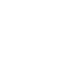 Born to Fly