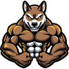 Akita Dog Muscles Fitness