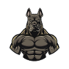 Great Dane Dog Muscles Fitness