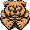 Chow Chow Dog Muscles Fitness