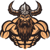 Viking Muscles Fitness