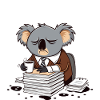 Koala at work
