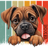 Boxer