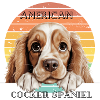 American Cocker Spaniel