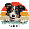 Collie