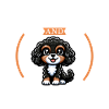 Coffee and Cavapoo