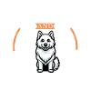 Coffee and Yakutskaya Laika