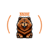Café et Chow Chow