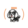 Coffee and Cockapoo