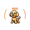 Coffee and Labradoodle