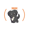 Coffee and Bolonka Zwetna