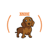 Coffee and dachshund