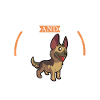 Coffee and German Shepherd