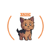 Kaffee und Yorkshire Terrier