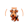 Café et Airedale Terrier
