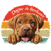 Dogue de Bordeaux