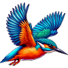 Kingfisher