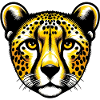 Cheetah