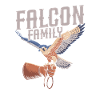 Falkner Team