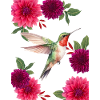 Sparrow and roses