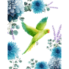 parrot and blue daisys