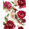 Woodpecker and roses