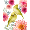 parrot and flowers 2