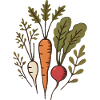Vegane Wurzeln Karotten-Radieschen-Design
