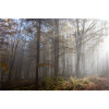 Autumn mood