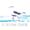 Möwe in Eckernförde