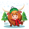 Highland Christmas Cow