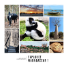 Souvenirs de Madagascar