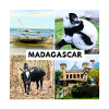 Symbols of Madagascar
