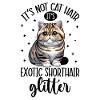 Cat Glitter - Exotic Shorthair