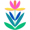 TULIPA Tulpe