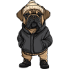 Bullmastiff Dog Stylish