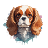 Cavalier King Charles Spaniel, Dog, Colorful