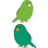Budgie 2fold