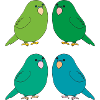 Budgie 4fold