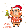 Merry Christmas Teddy