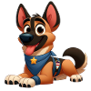 Malinois 10