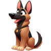 Malinois 11