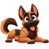 Malinois 12