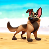 Malinois 6