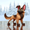 Malinois 4