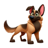 Malinois