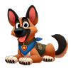 malinois 14